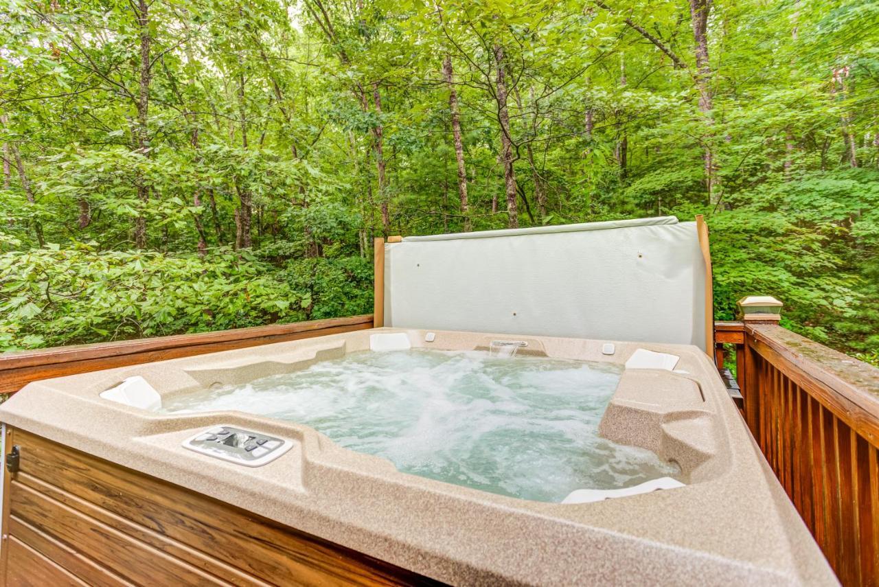 Lazy Bear Den - 2 Bed 1 Bath Vacation Home In Blue Ridge Εξωτερικό φωτογραφία